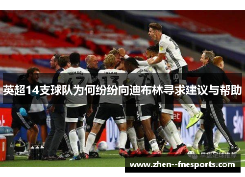 英超14支球队为何纷纷向迪布林寻求建议与帮助