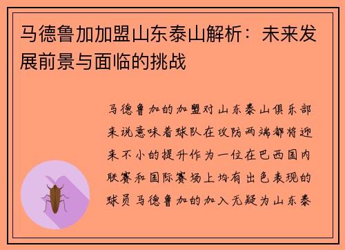 马德鲁加加盟山东泰山解析：未来发展前景与面临的挑战