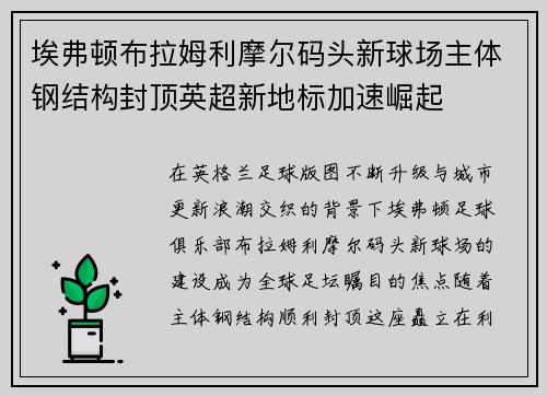 埃弗顿布拉姆利摩尔码头新球场主体钢结构封顶英超新地标加速崛起
